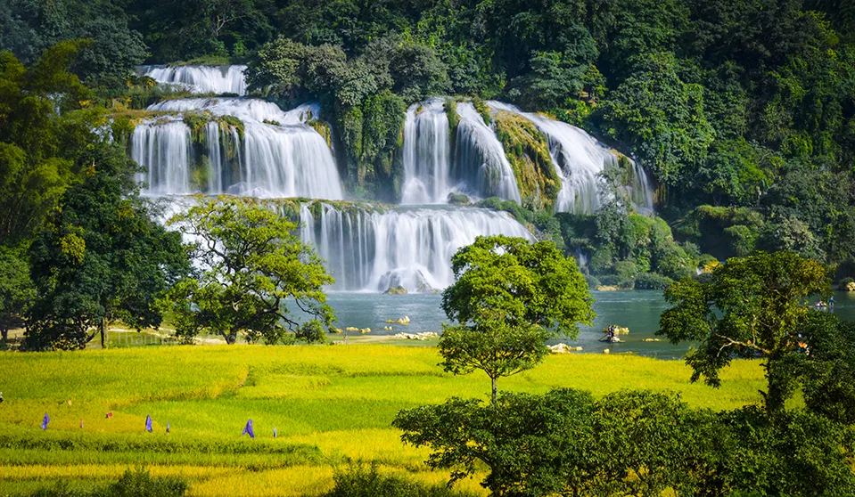 du lịch bản giốc mùa lúa chín
