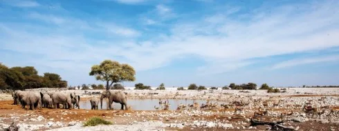 Du lich Namibia tieng goi noi hoang da 7