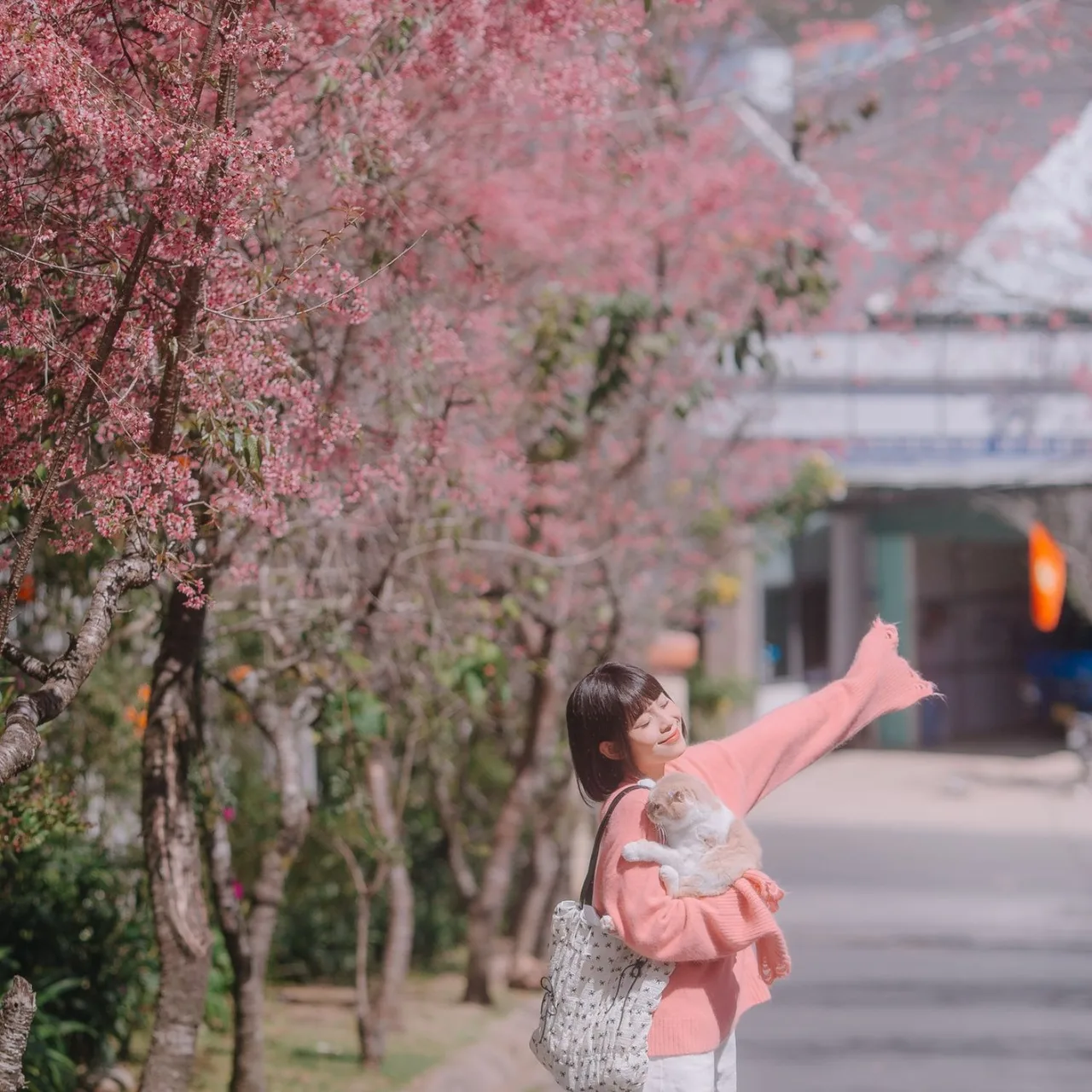 Hoa đào nở rộ tại Nhà Lao Thiếu Nhi.