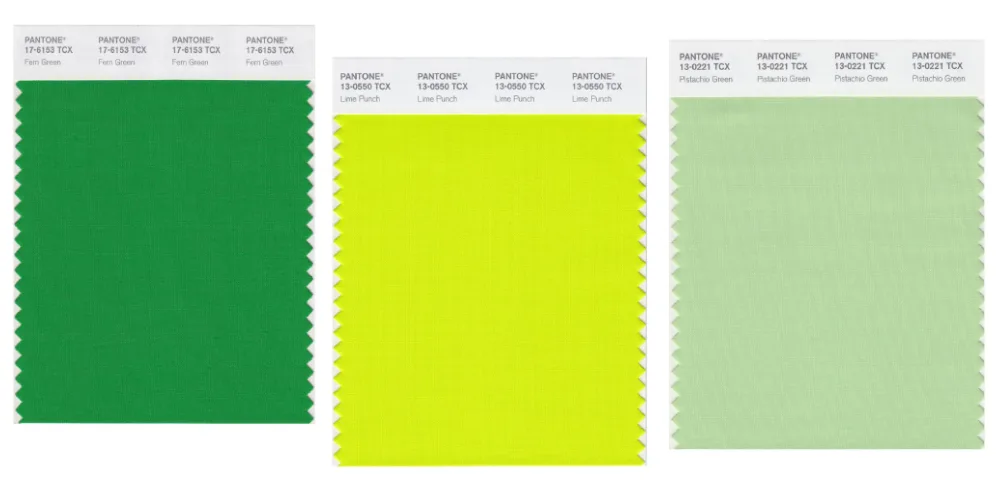 cách phân biệt màu pantone nhóm màu xanh lá
