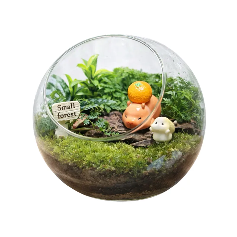 Untitled design - 2026-06-01T064718.718.png