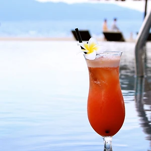 ellevn pullman da nang