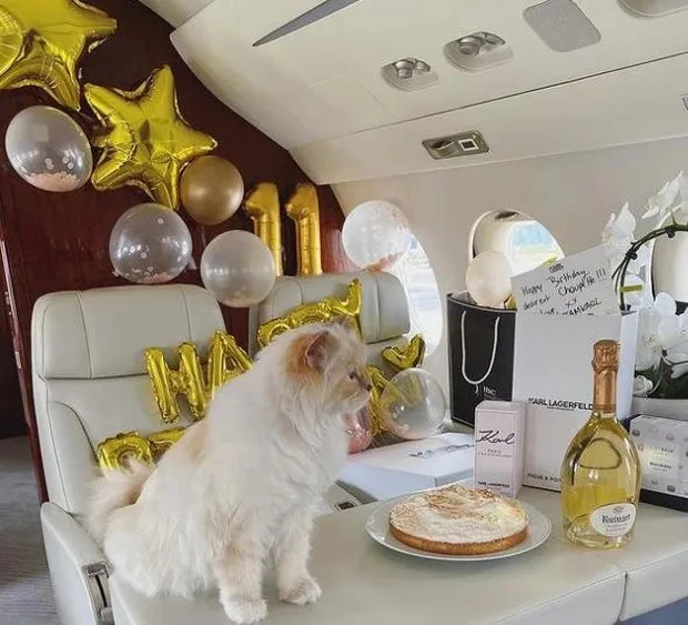 Sinh nhật lần thứ 11 của Choupette