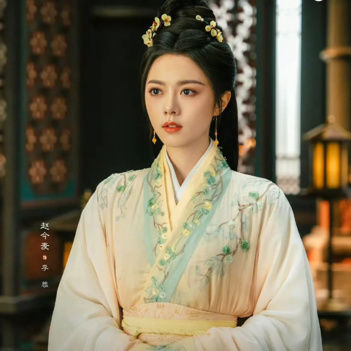 triệu kim mạch phim độ hoa niên