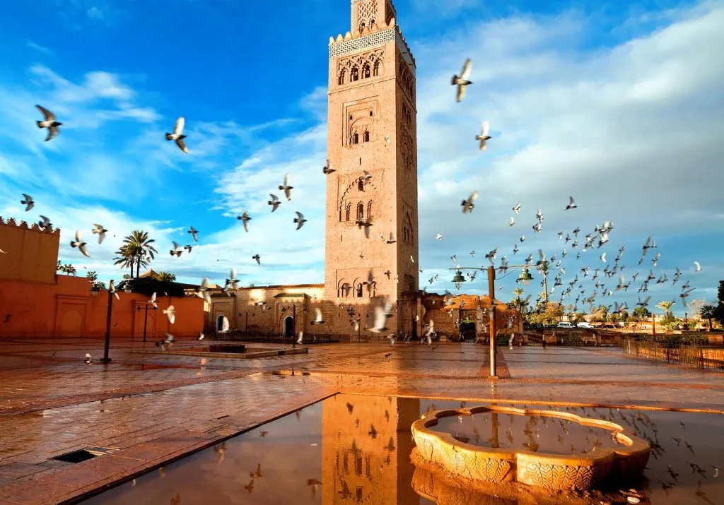 Marrakesh Marrakesh
