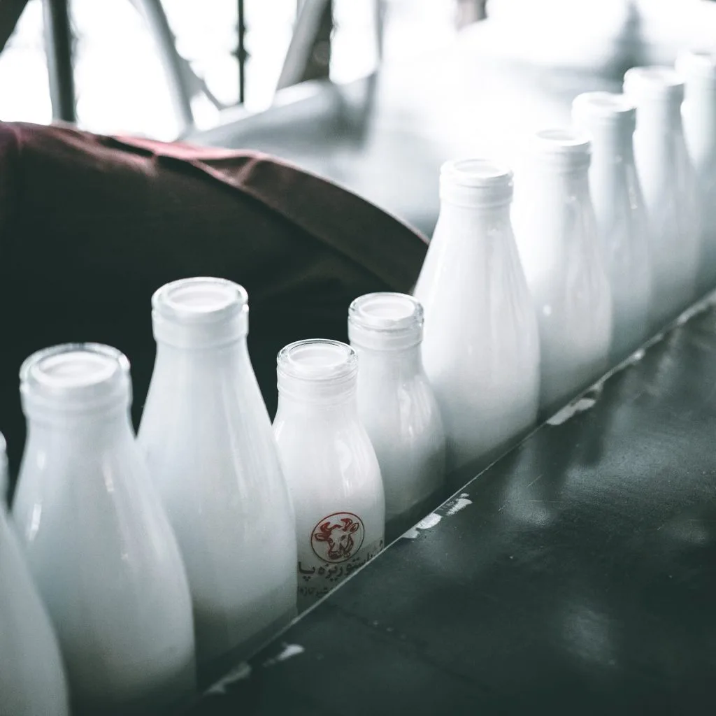 Vitamin D-Những chai sữa. Vitamin D-Những chai sữa.