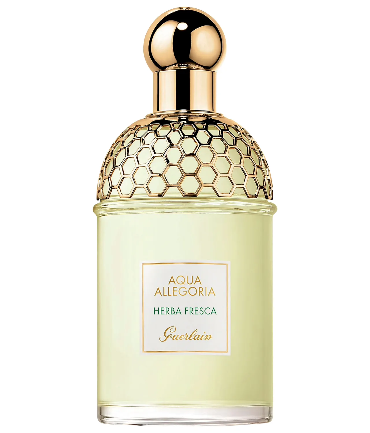 bạc hà nước hoa Herba Fresca Guerlain bạc hà nước hoa Herba Fresca Guerlain