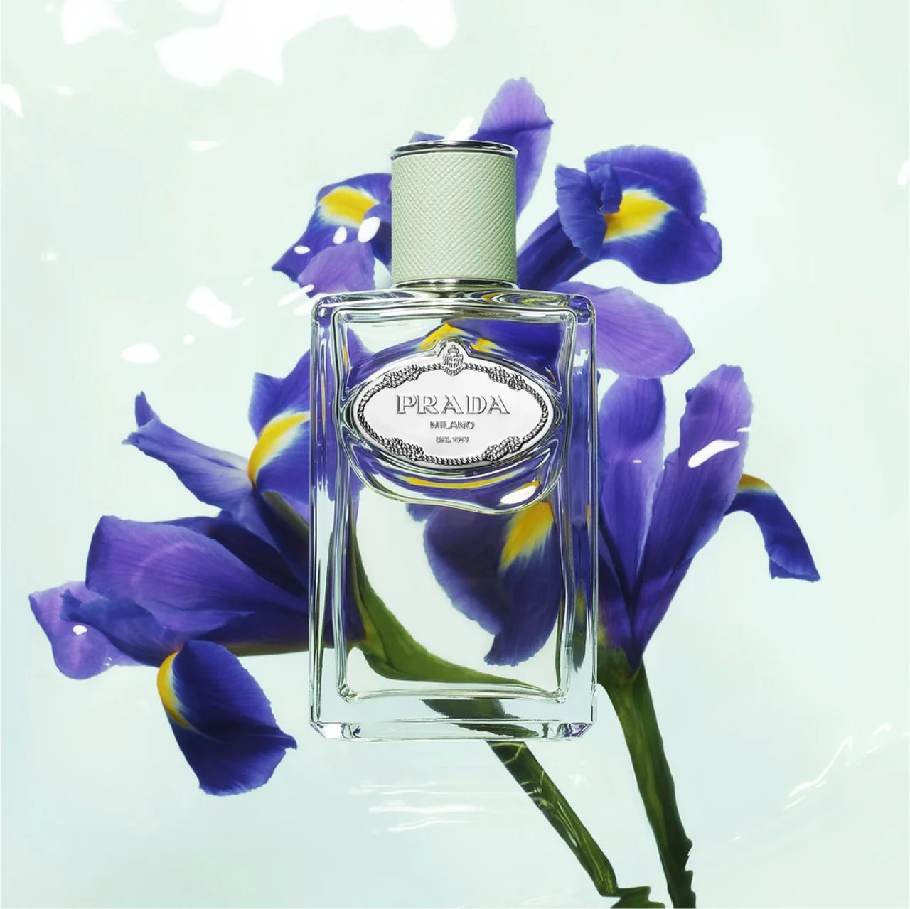 mùi hương infusion của prada mùi hương infusion của prada