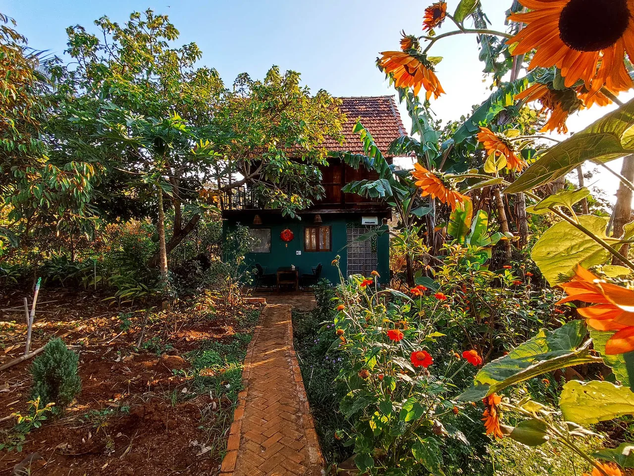 nông trại Queenys Farm nông trại Queenys Farm