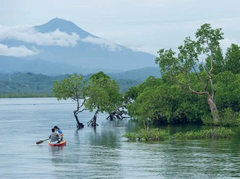 Dự án GoodPlanet của Bertrand với sự đồng hành của hãng Omega và những người dân địa phương đang bước đầu tạo nên sự hiểu biết về tầm quan trọng của rừng đước và hệ sinh thái biển ở Bahoi