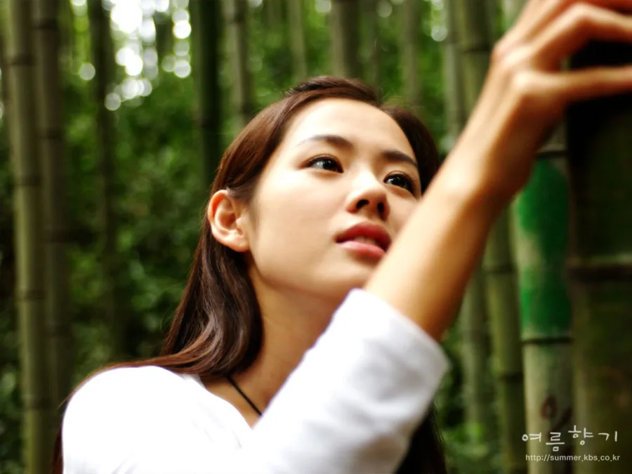 son ye jin