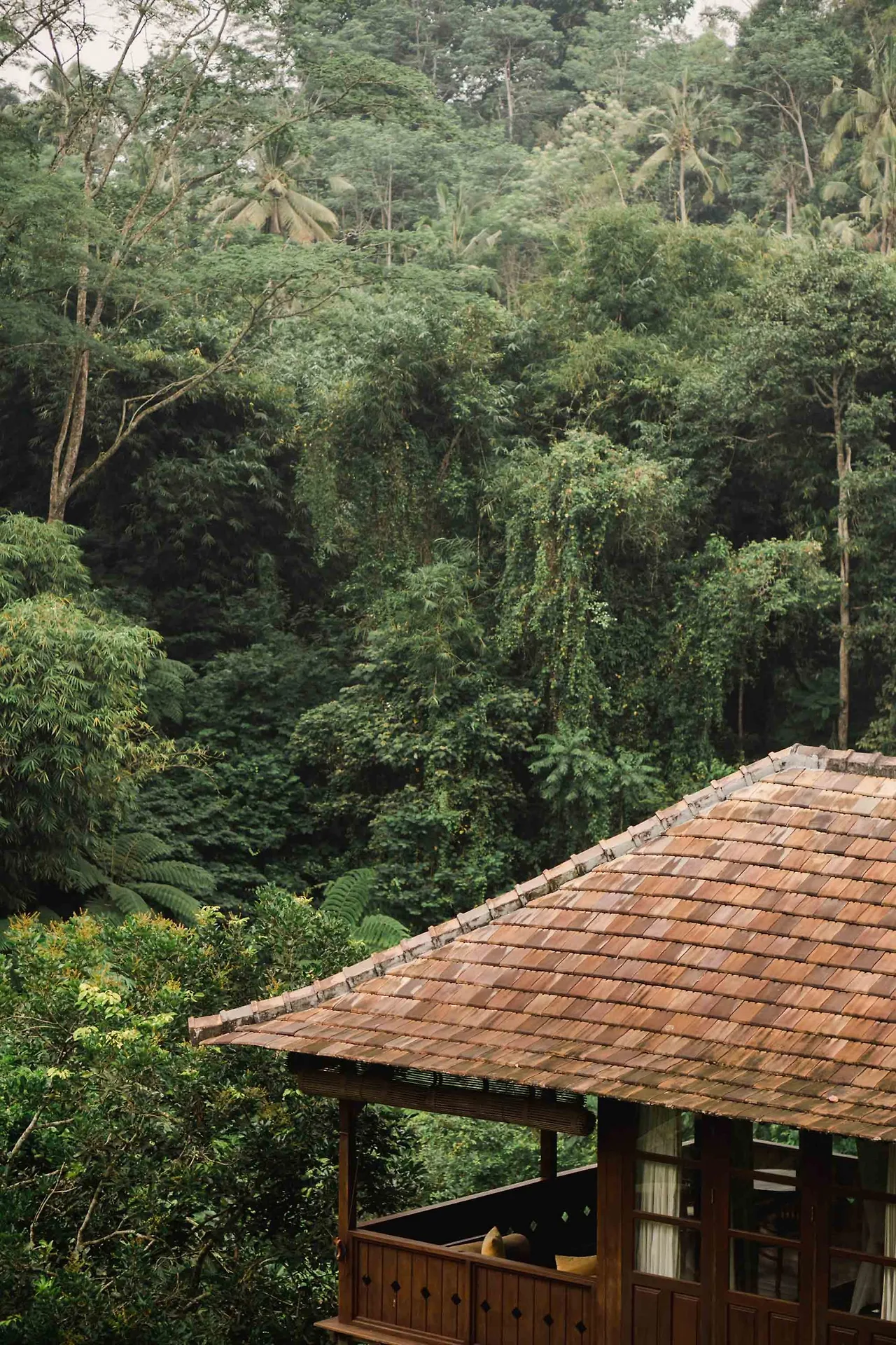 Resort ở Ubud trong rừng sâu