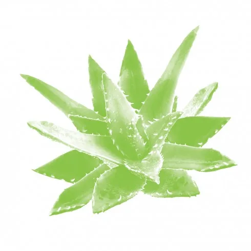 My pham duong da 1