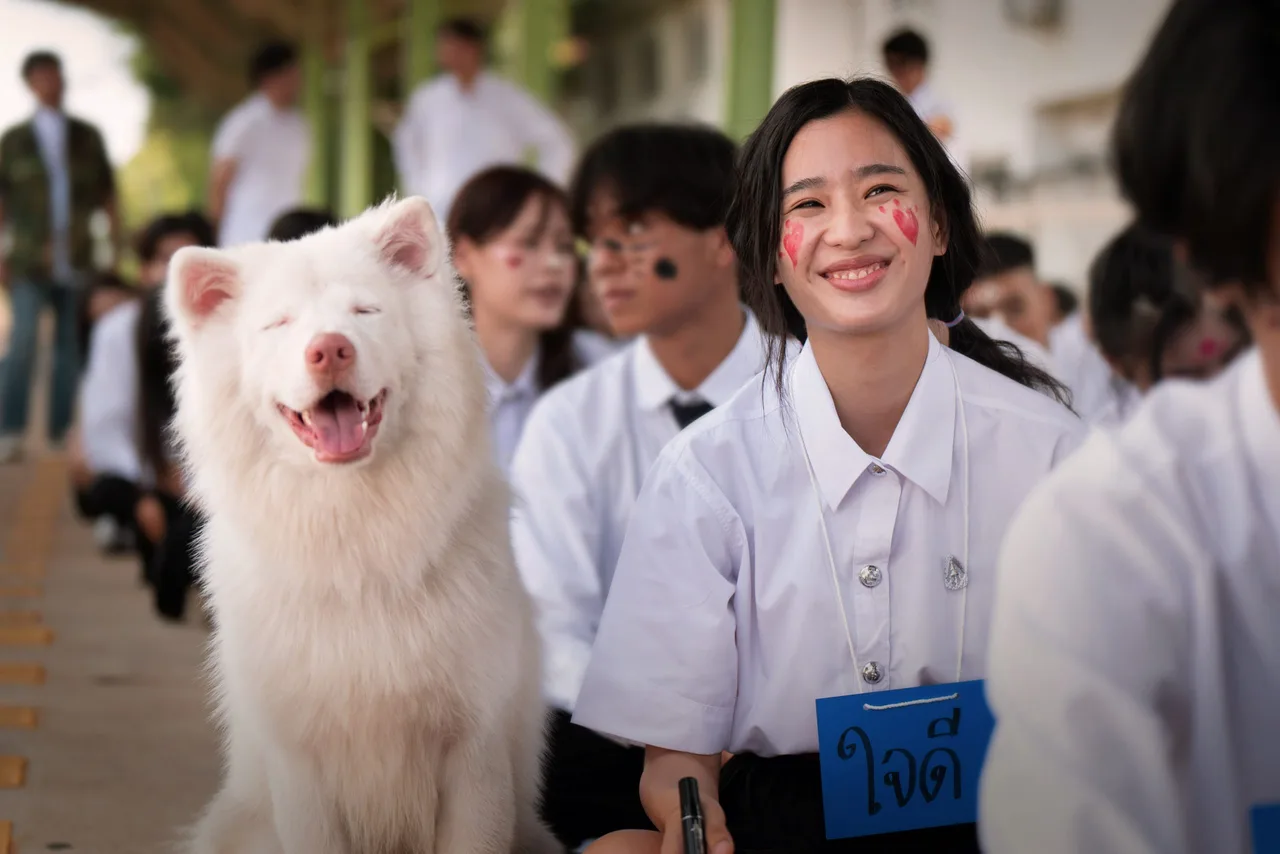 Bộ phim Tạm Biệt Gohan xoay quanh hành trình suốt 10 năm của chú chó Gohan.