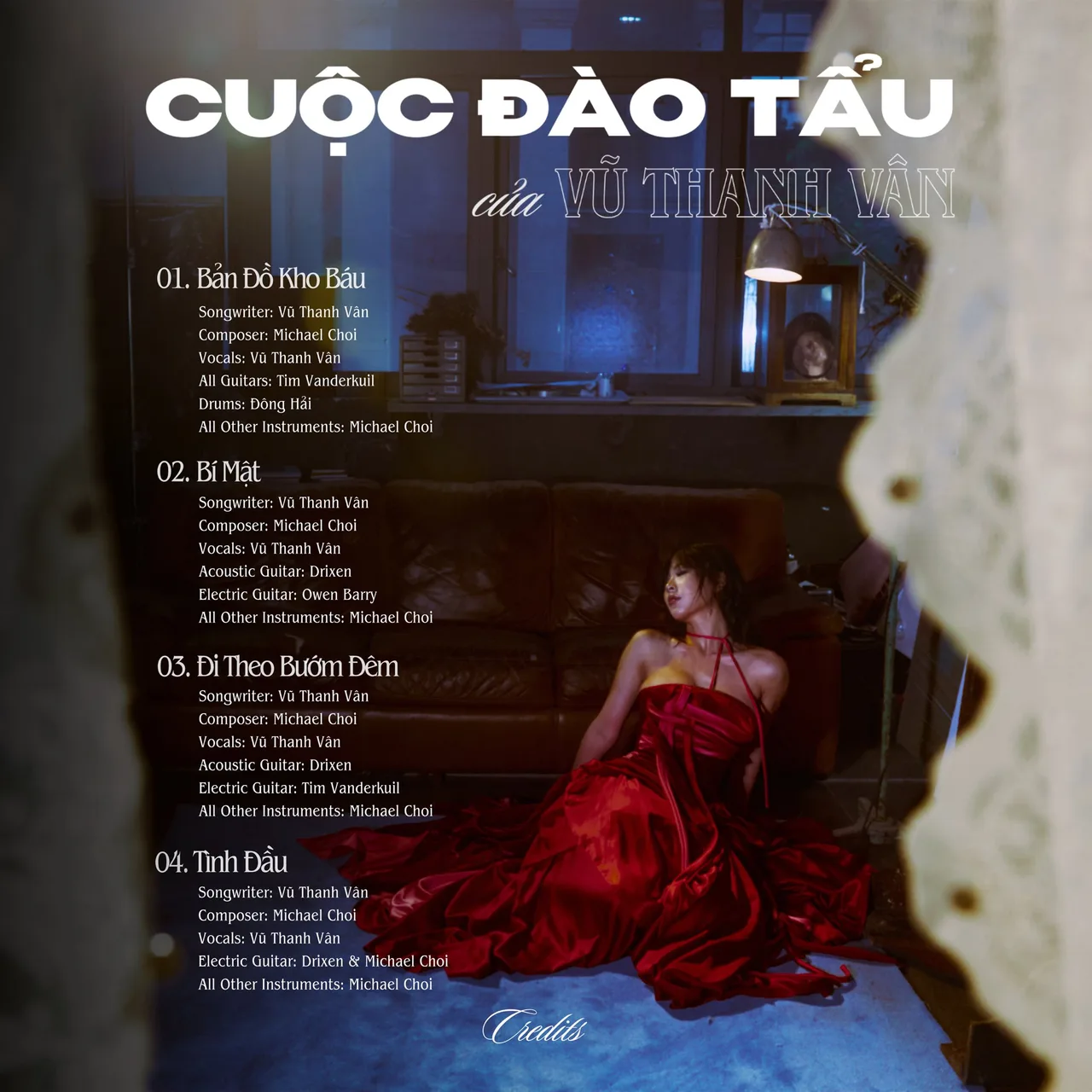 vũ thanh vân