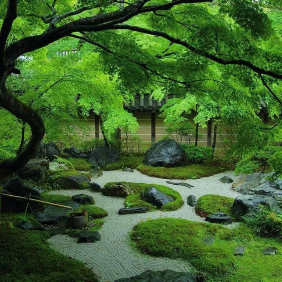Bản Ngã - Cuộc đời thay đổi khi ta thay đổi Bản Ngã - Cuộc đời thay đổi khi ta thay đổi