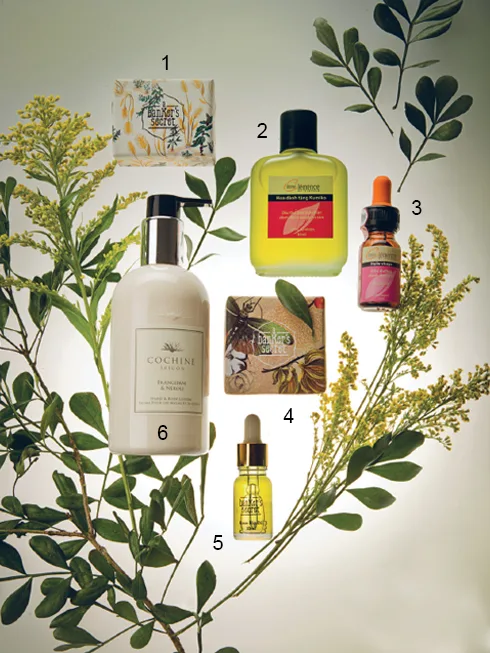 1 & 4. Xà phòng handmade A Banker's Secret 101.000 - 147.000 VNĐ 2. Dầu massage và dưỡng thể Dame Clemence 170.000 VNĐ 3. Tinh dầu hoa hồng dưỡng da mặt Dame Clemence 200.000 VNĐ 5. Tinh dầu hạt rosehip A Banker's Secret 125.000 VNĐ 6. Kem dưỡng tay và dưỡng thể Cochine 420.000 VNĐ