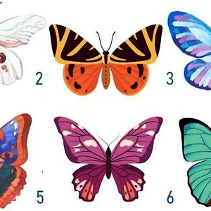 Trắc nghiệm: Con bướm bạn chọn tiết lộ điều gì về tính cách của bạn?