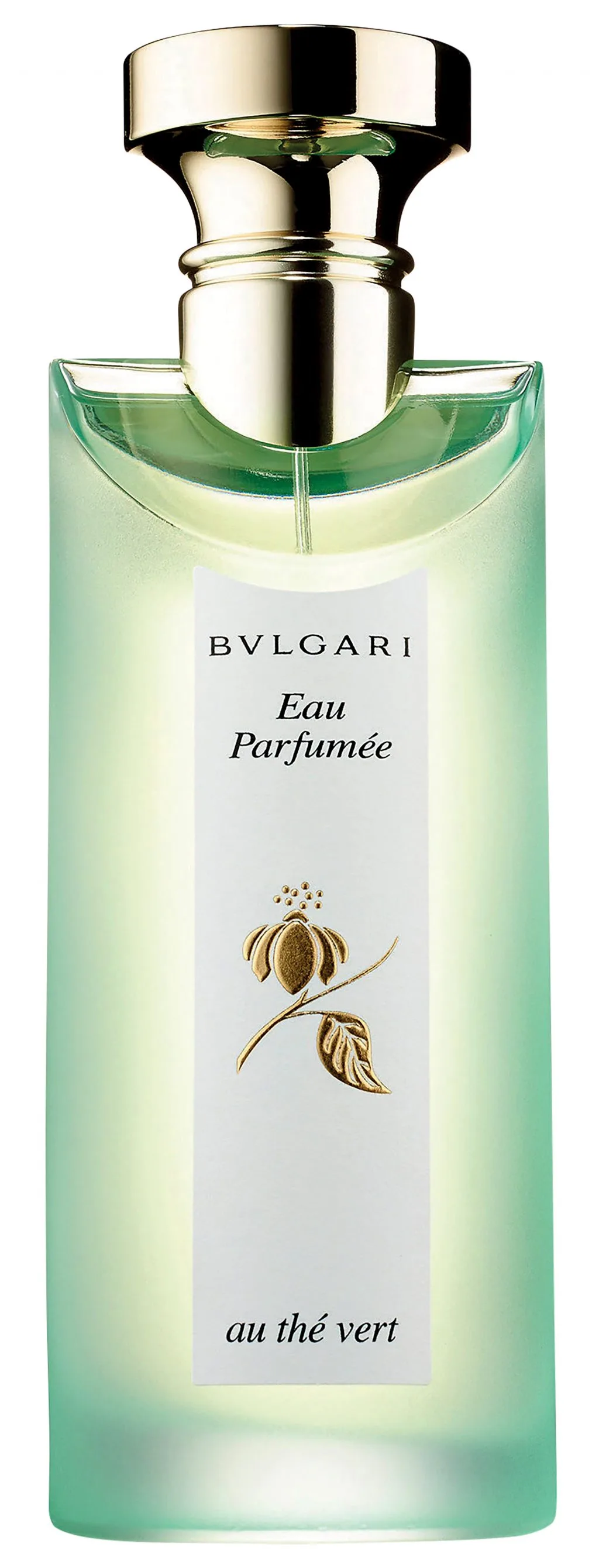 nước hoa cơ bản Bvlgari nước hoa cơ bản Bvlgari