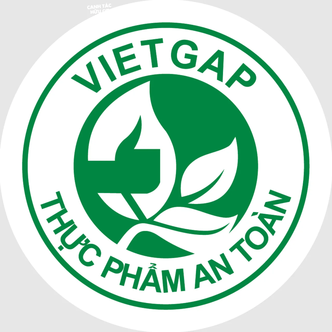 bền vững chứng nhận viet gap bền vững chứng nhận viet gap