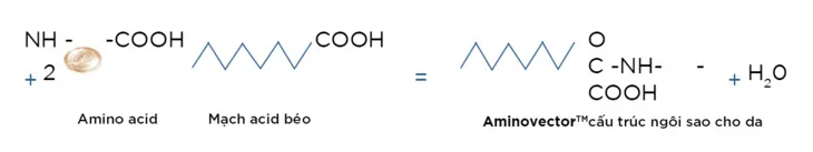 Amino Vector Amino Vector