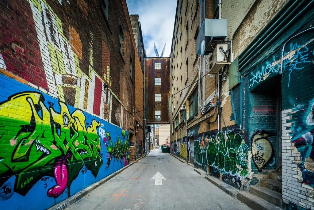 ELLE Viet Nam Toronto 6