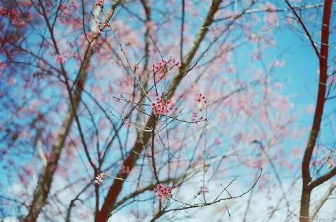 anhfilm_6