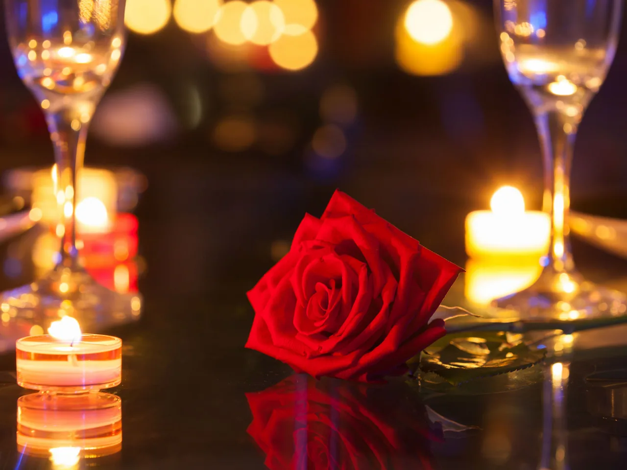the rose of romantic love