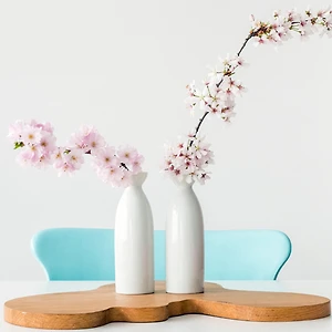 lối sống tối giản