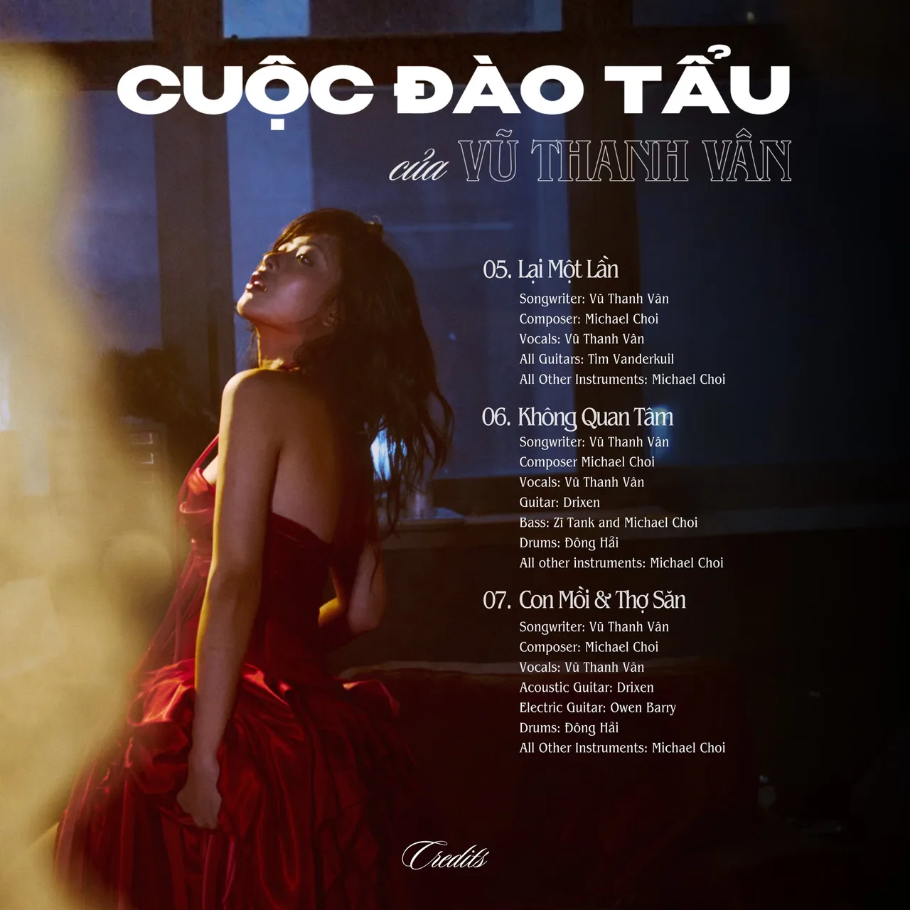 vũ thanh vân