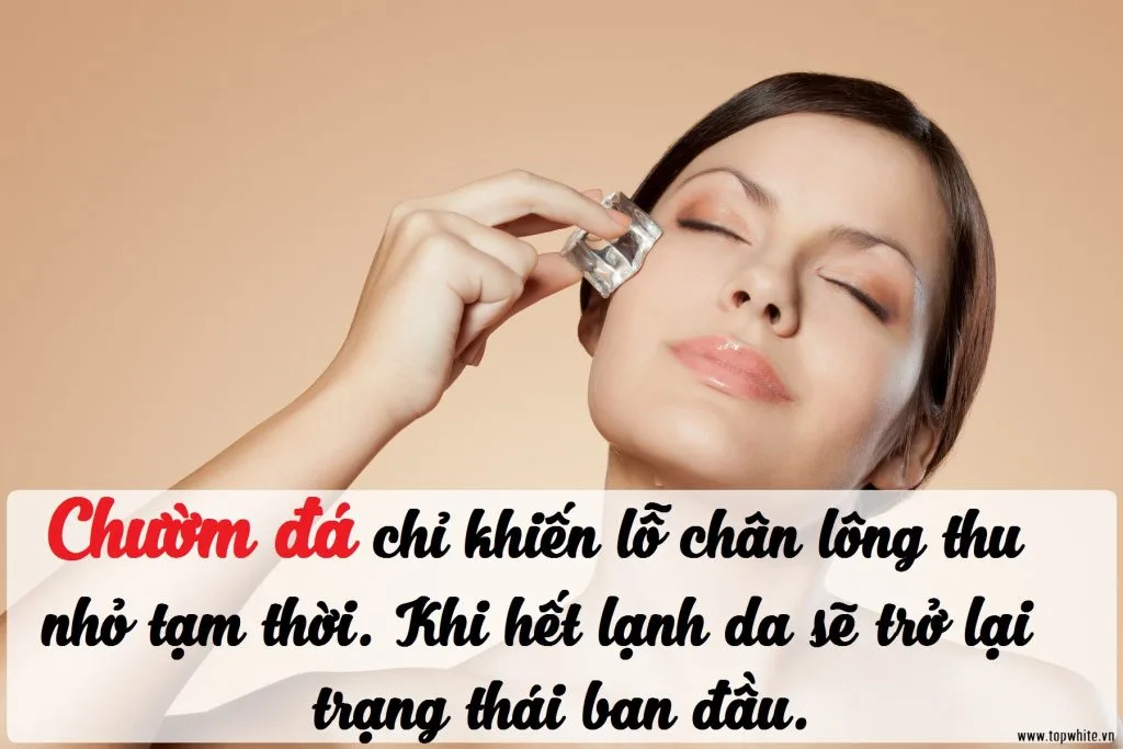 Những quan niệm sai lầm về lỗ chân lông 2 Những quan niệm sai lầm về lỗ chân lông 2
