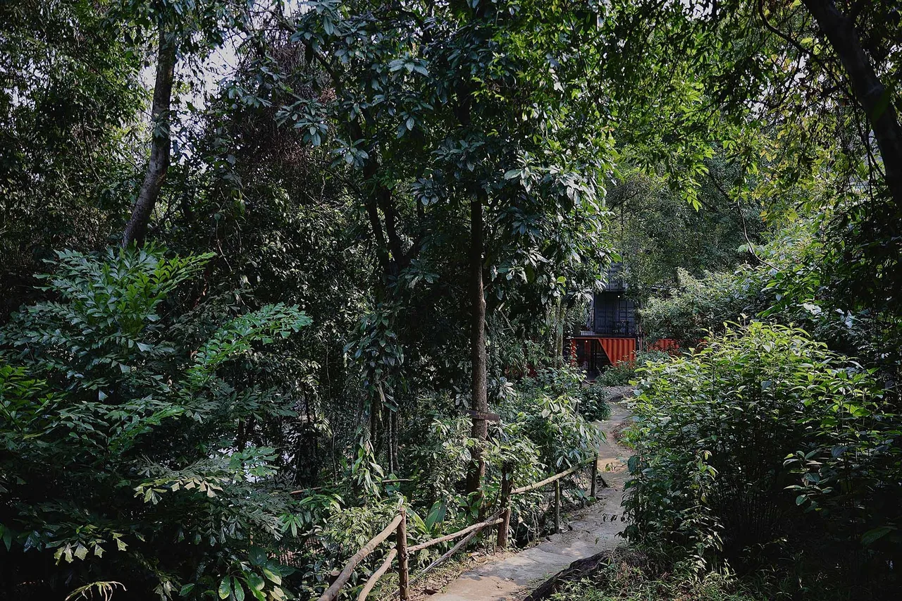 phá tam giang nhà hàng container trải nghiệm nhà hàng container