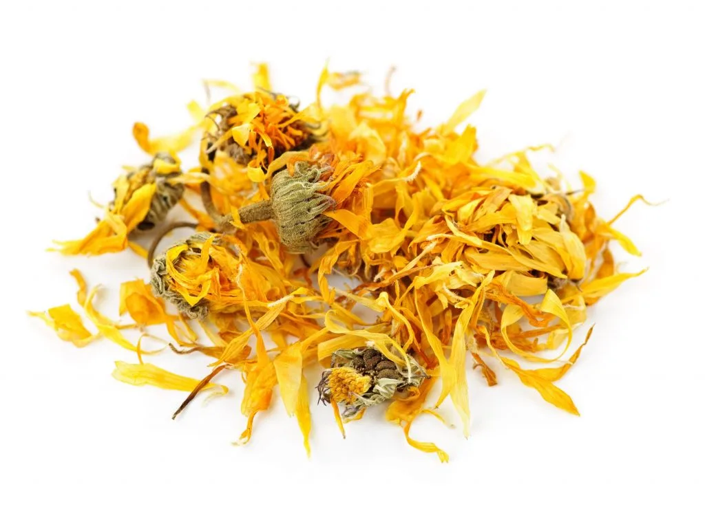 bí quyết làm đẹp từ hoa cúc Calendula