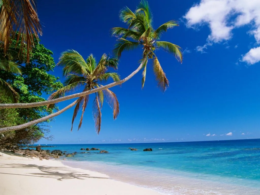 fiji