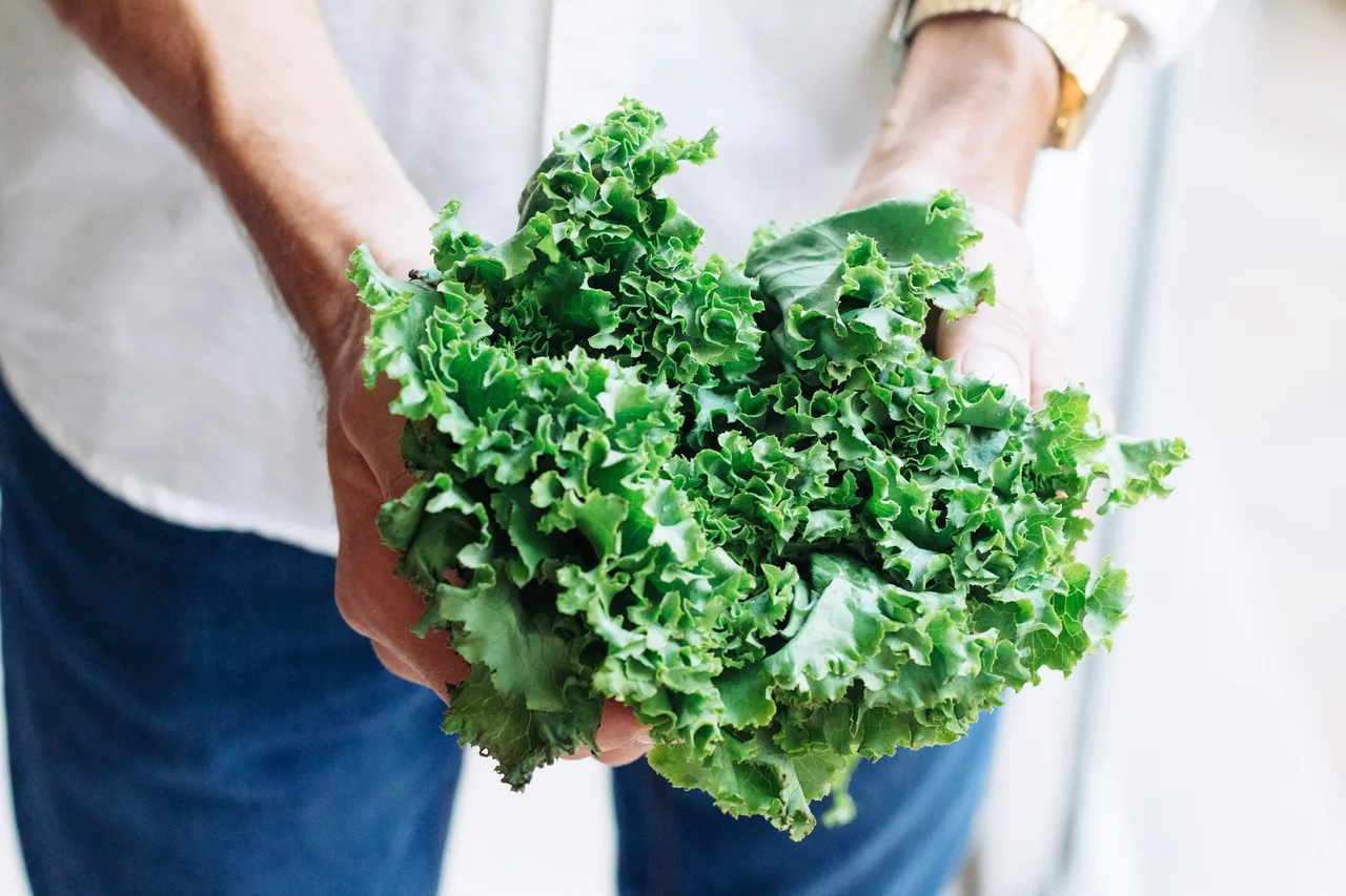 cải kale