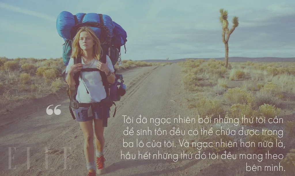 cau noi hay ve du lich