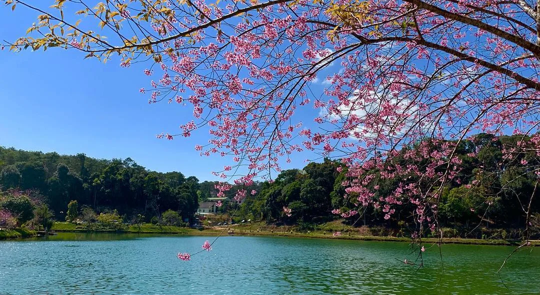 hồ đắk ke 2