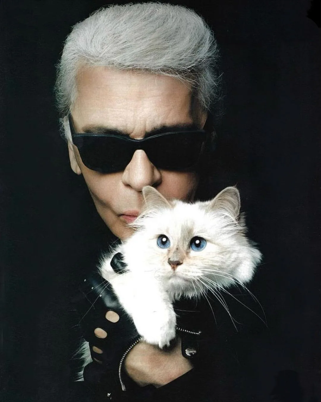 karl lagerfeld cùng chú mèo cưng choupette của mình