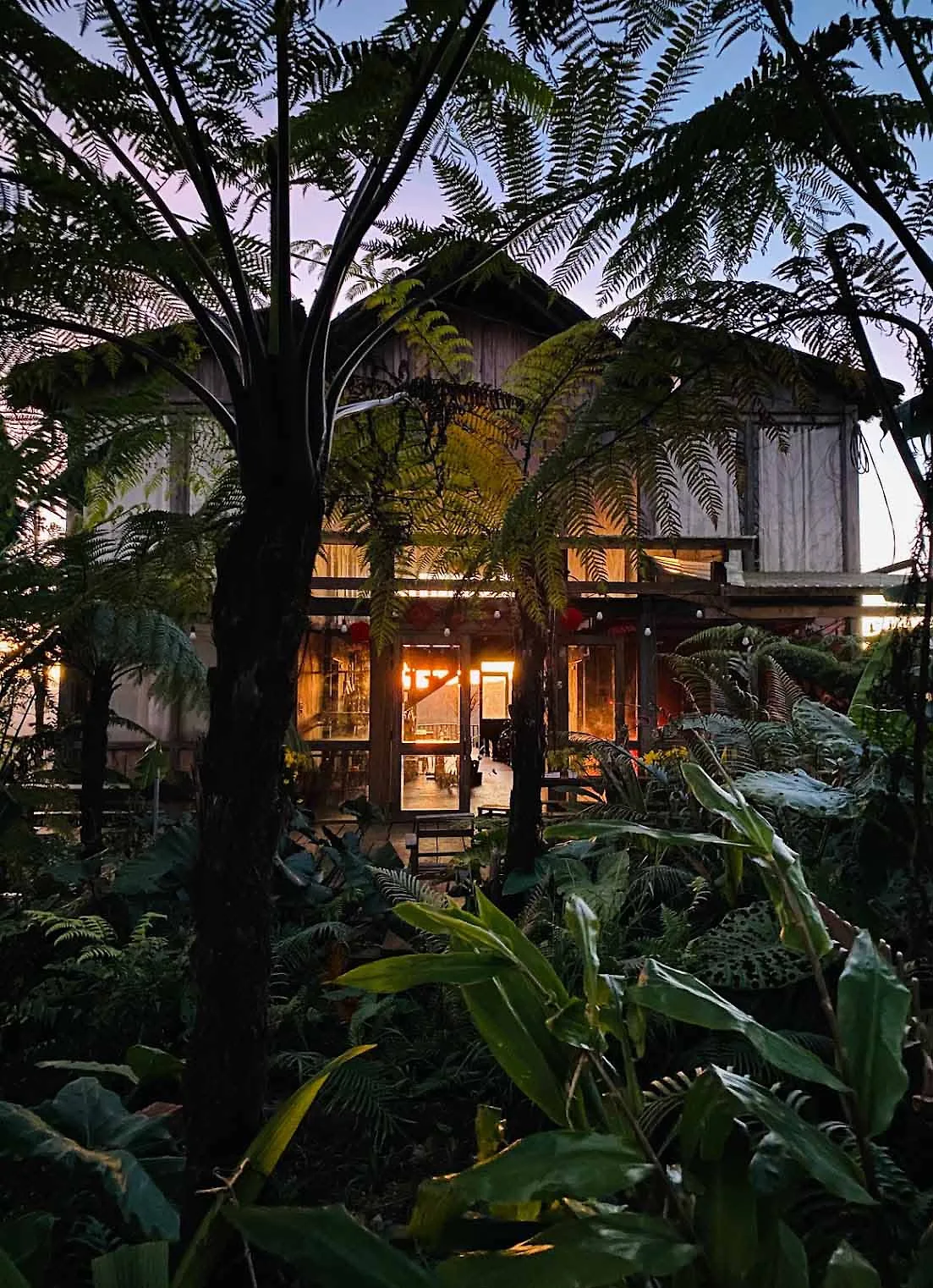dược liệu tại khu bảo tồn không gian nẫu ecovalley địa điểm chữa lành