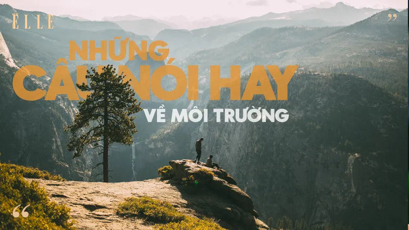 Bài viết liên quan