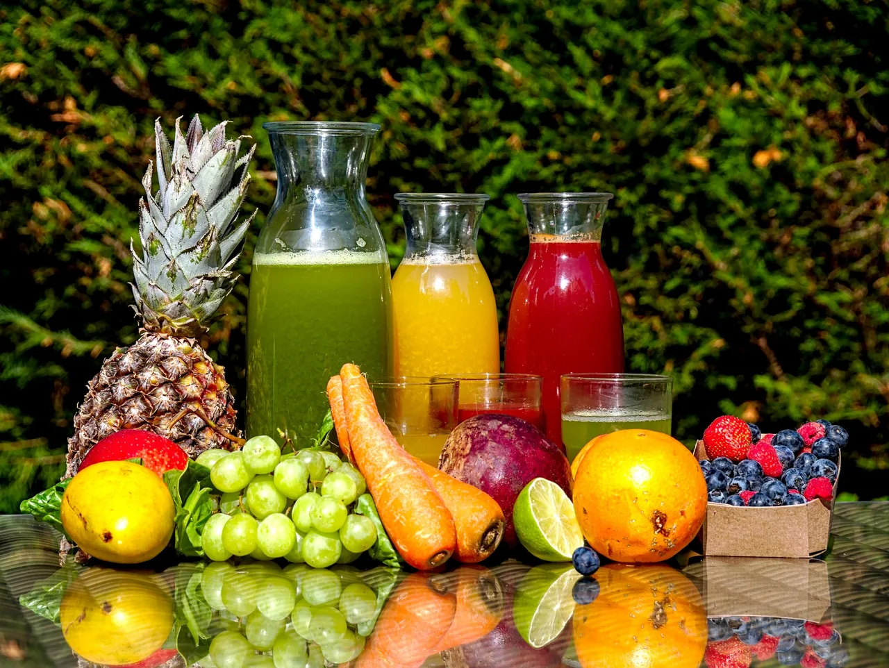 thanh-loc-co-the-tu-mon-nuoc-detox thanh-loc-co-the-tu-mon-nuoc-detox