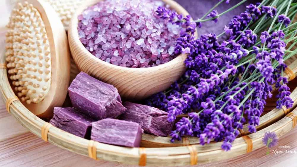 nghỉ dưỡng mùa hè 3