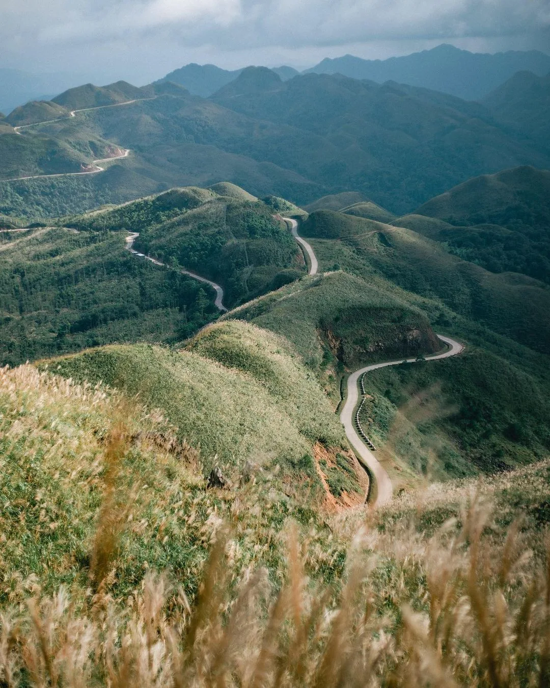 quảng ninh mùa cỏ lau
