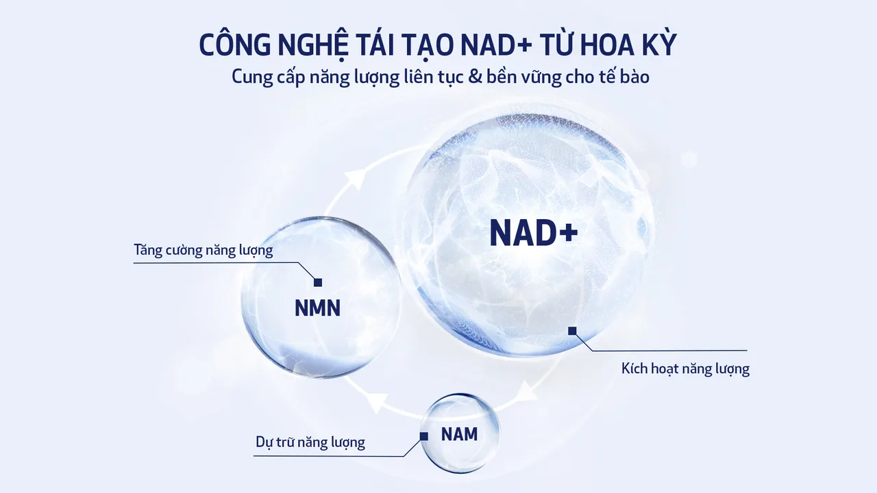 thông tin công nghệ tái tạo NAD+ trong Obagi NU-GEN™ Cellular Renewal Serum