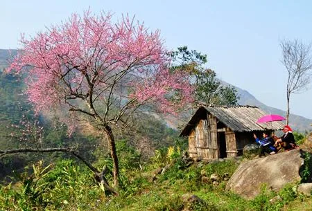 Du lịch Sapa - mùa xuân