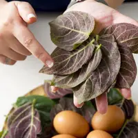 Lá mơ lông hỗ trợ cải thiện tình trạng đau bụng