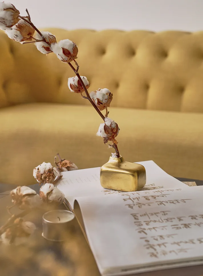 thiền dưỡng sinh 2 thiền dưỡng sinh 2