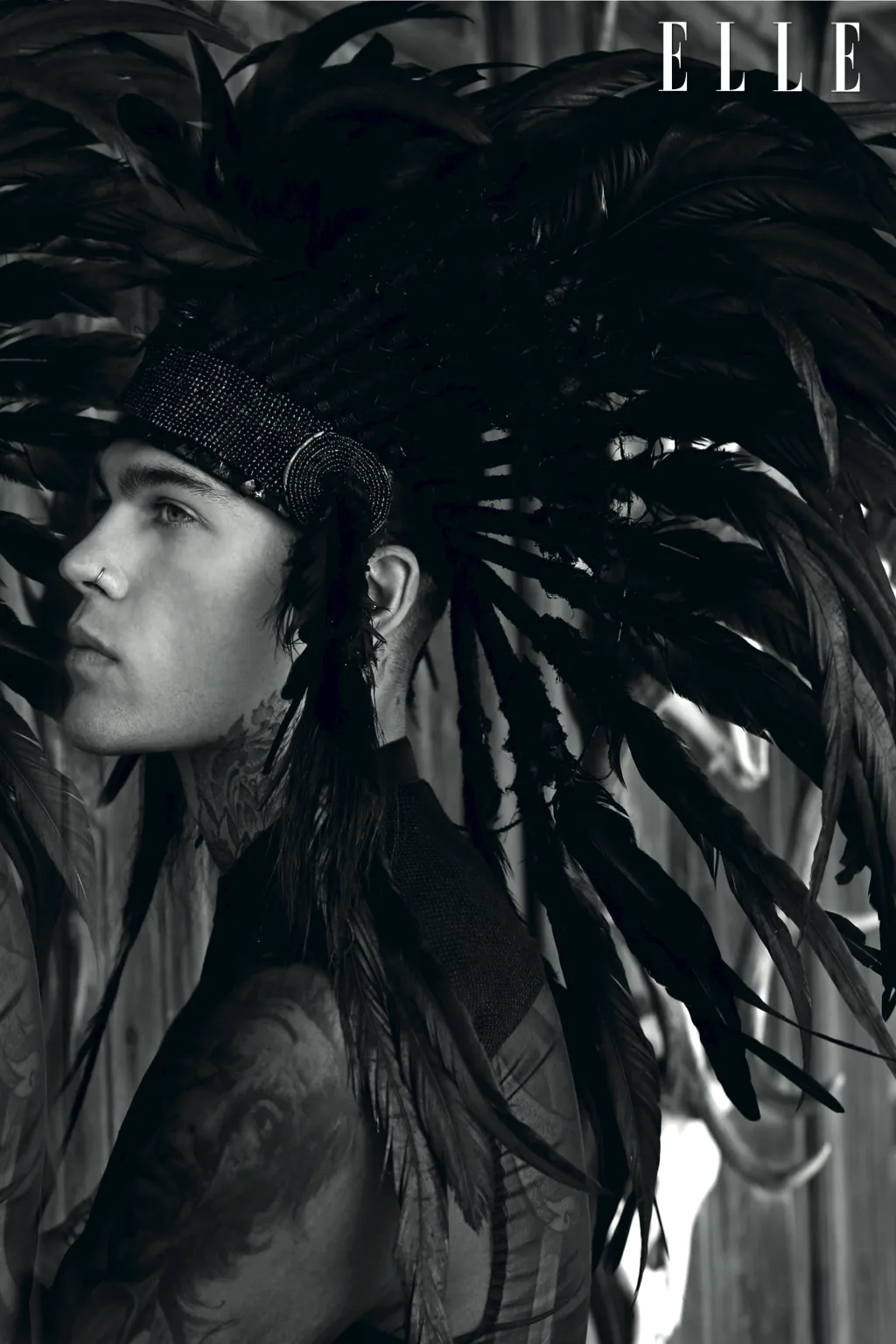ellevn wild stephen james
