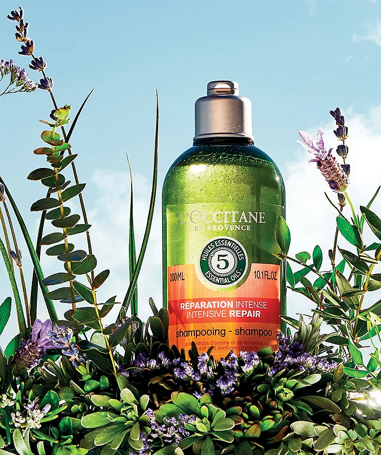 dầu gội dưỡng tóc L'Occitane