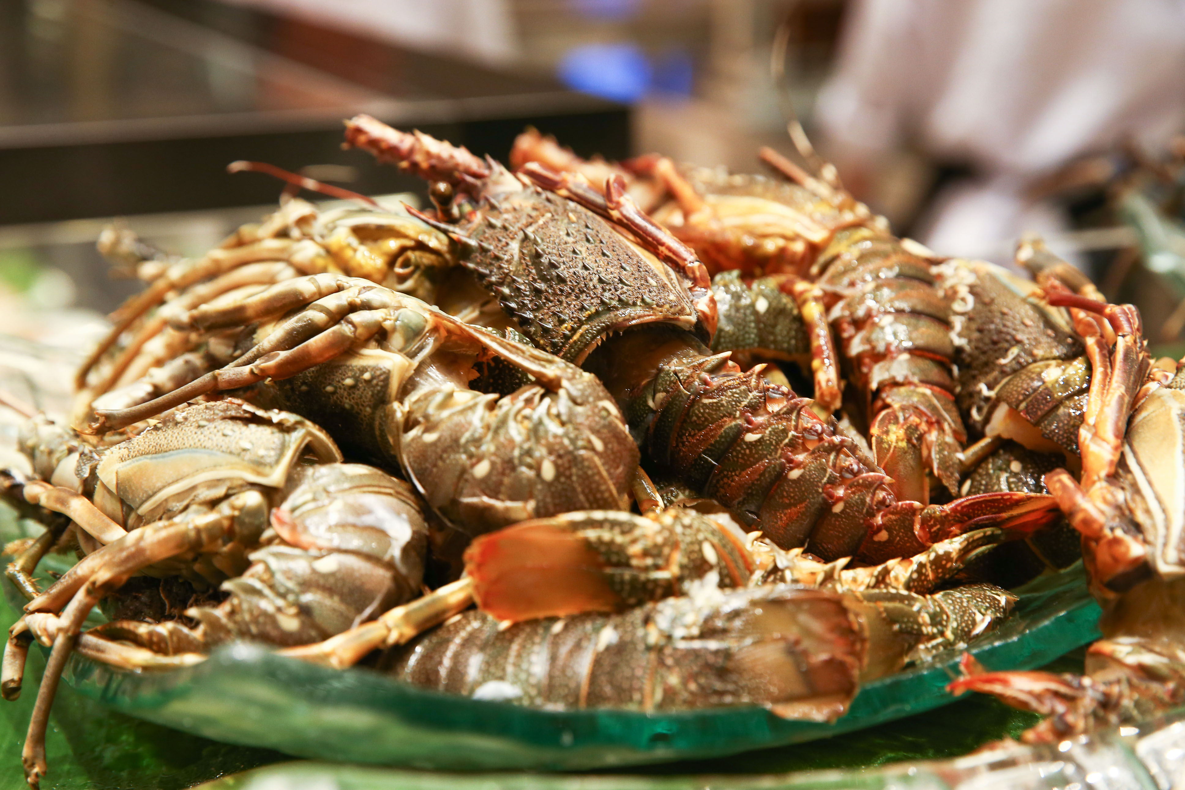 Sheraton Saigon - ẩm thực Tết sepecial menu - elle vietnam 2